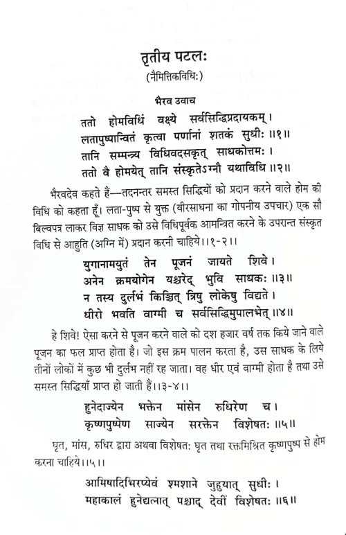 Kali Tantram Rudrachandi Tantram (CSBG 528)